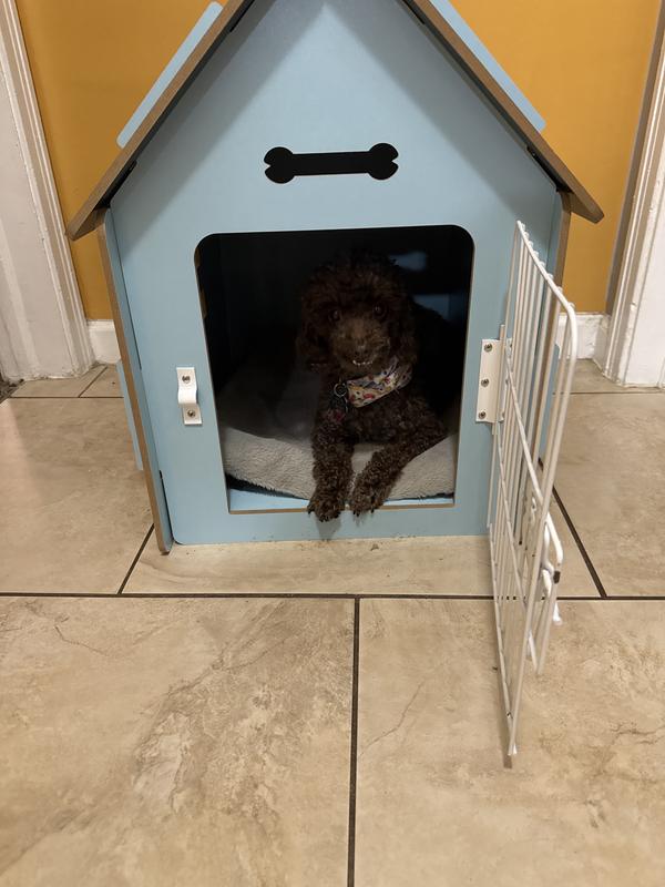 Hershey loves his new hangout!