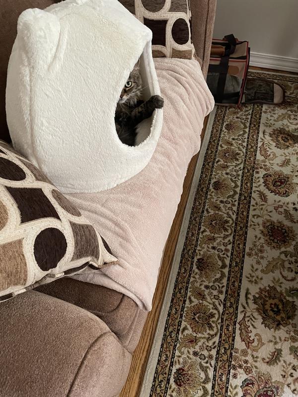 BEST FRIENDS BY SHERI Meow Hut Covered Cat & Dog Bed, Wheat, Standard