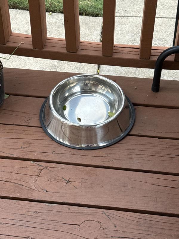 SUNGROW No Spill Stainless Steel Large Dog Water & Food Bowl with Non-Slip  Rubber Base, 64-oz - Chewy.com
