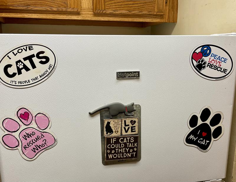 They are cute Magnets My favorite is the middle one