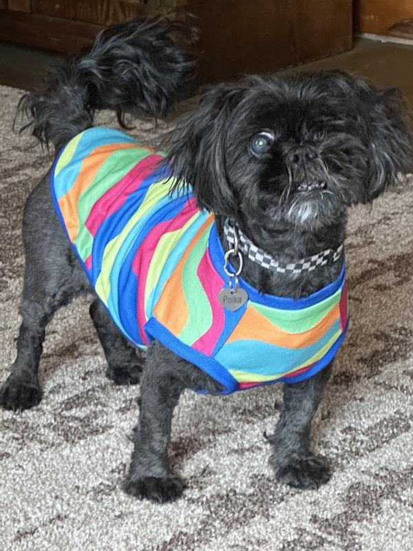 Hey, look at me and my new shirt!