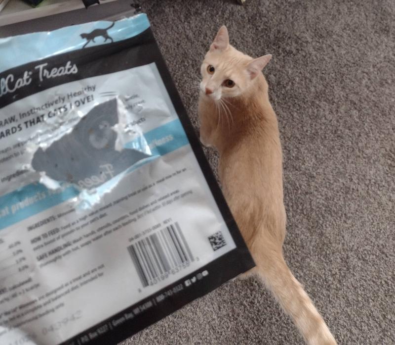 Vital Cat Vital Essentials Minnows Freeze-Dried Cat Treats - All Natur —  iPetsPro