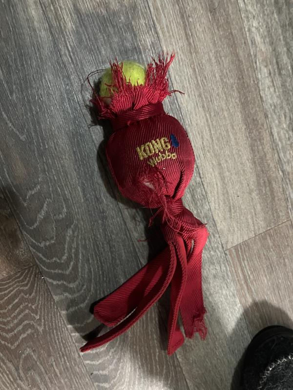 Never had a chance. Poor baby.