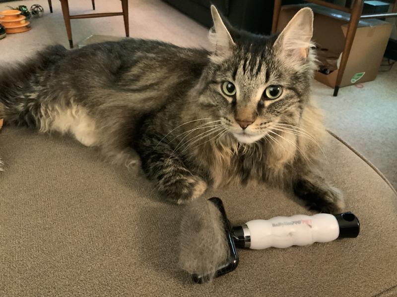 BABYLISS PRO PET Long Pin Slicker Pet Brush, Medium