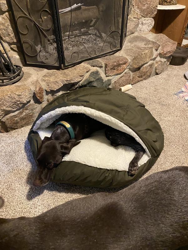 Size does not match what is recommended on chewy site for this product