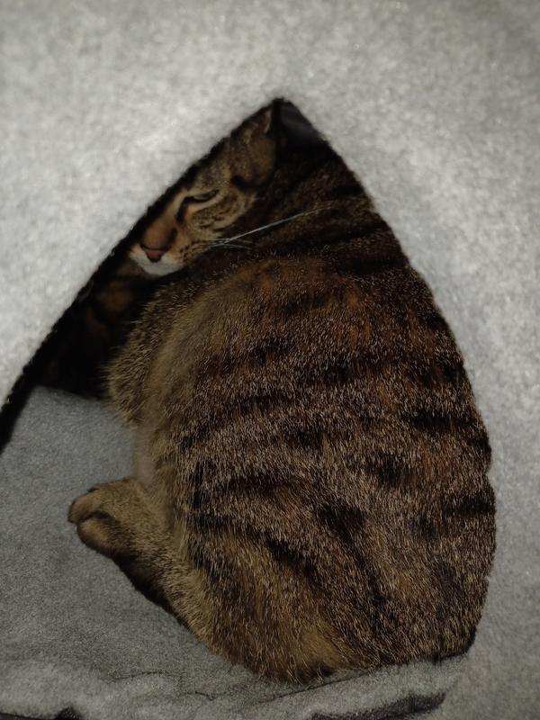 Fatty Boy barely fits