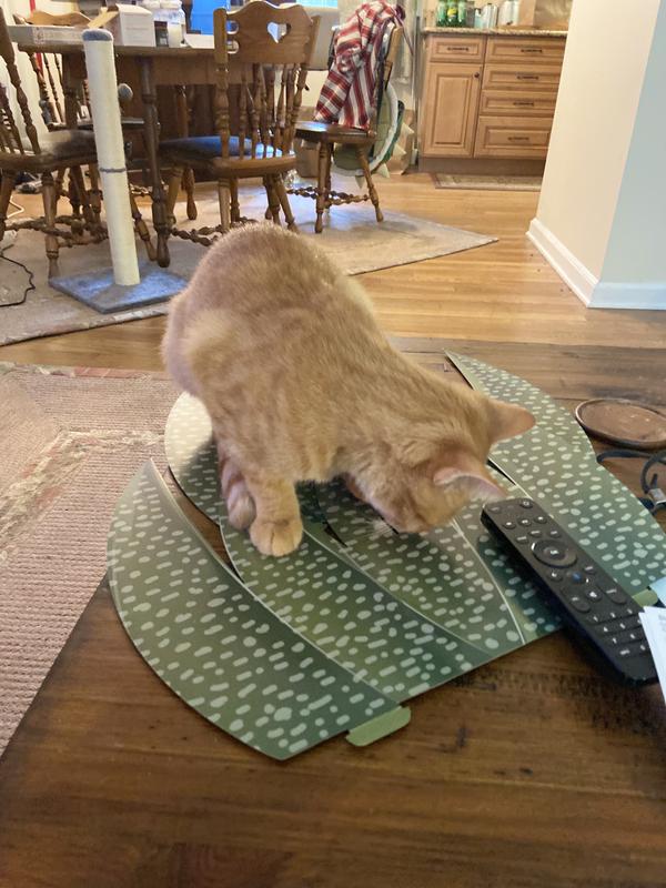 Dash performs a pre-assembly inspection.