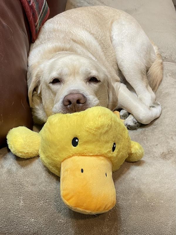 Walter loves his ducky!