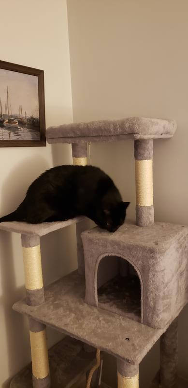 William inspecting his new tree