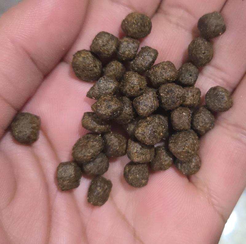 Tiny sized kibbles