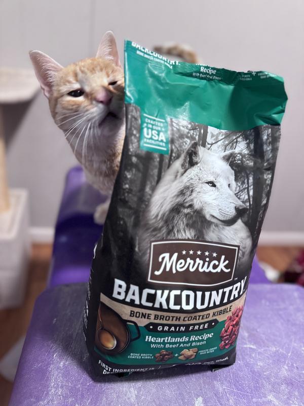 Even the kitty was excited!