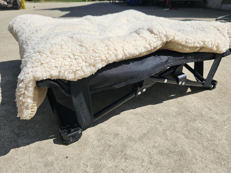 30lb French Bulldog in Medium bed