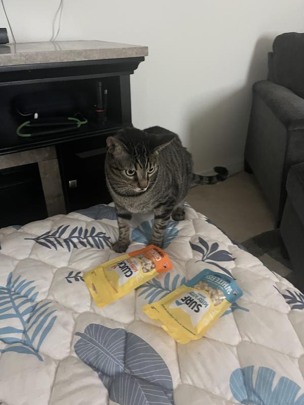 Waiting for the treats