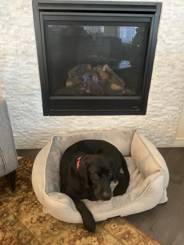 Warm and cuddly by the fire.