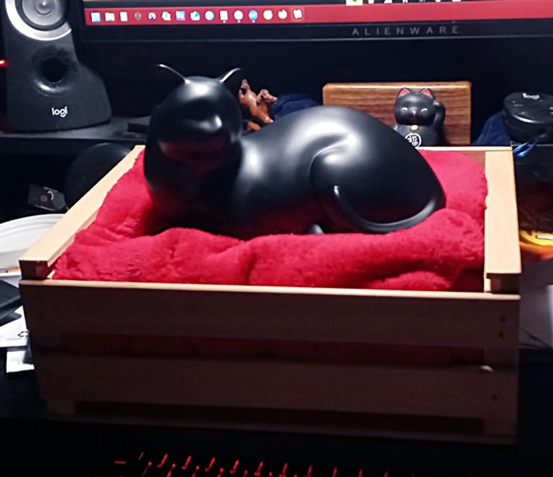 Mia on the blanket my daughter gave her. This is just the start of my memorial to her.