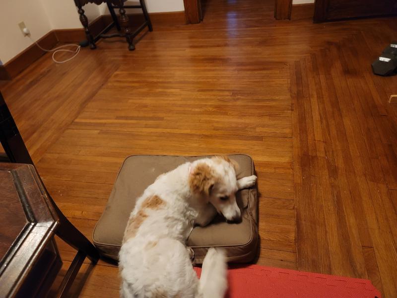 Unsure but interested