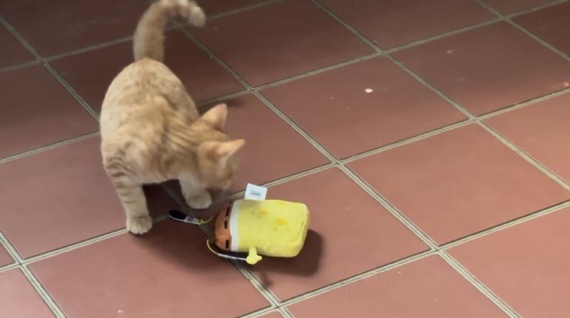 Let's sniff this strange outdoorsy smell.....