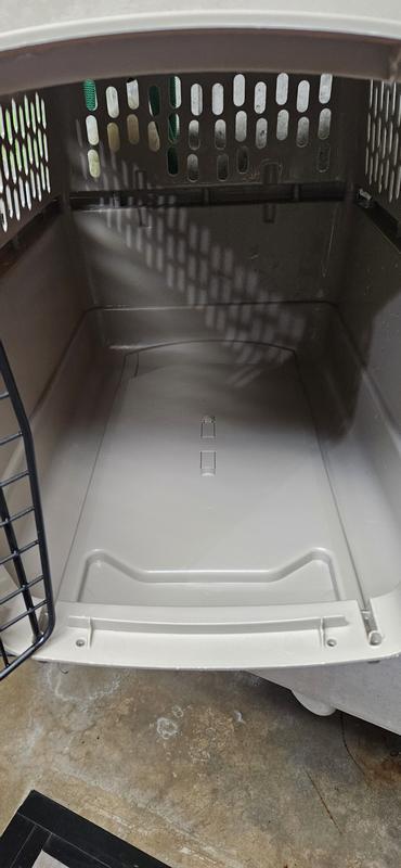 Took care of all the stains and urine odor