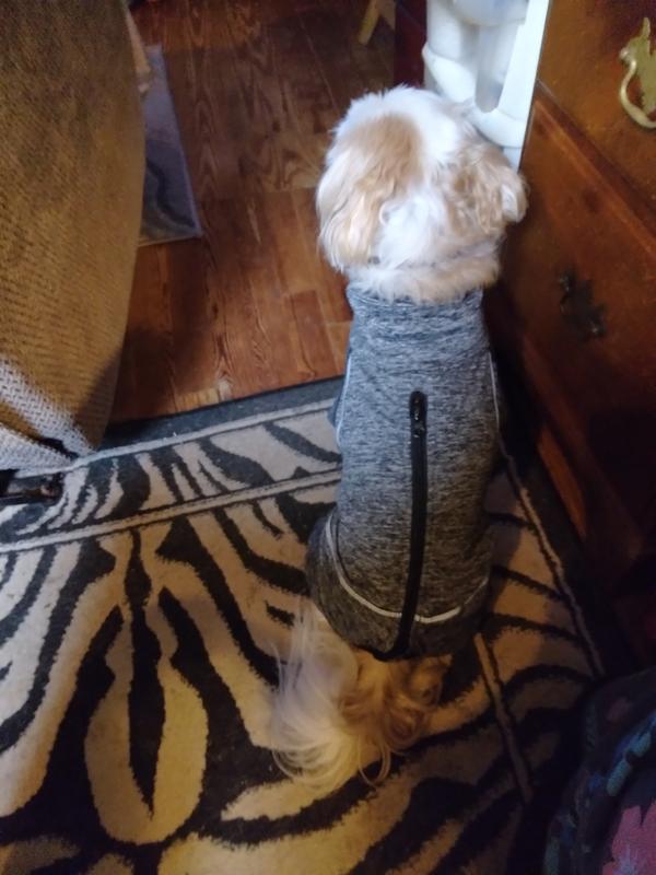 KURGO Stowe Base Layer Dog Sweater, Heather Black, XSmall