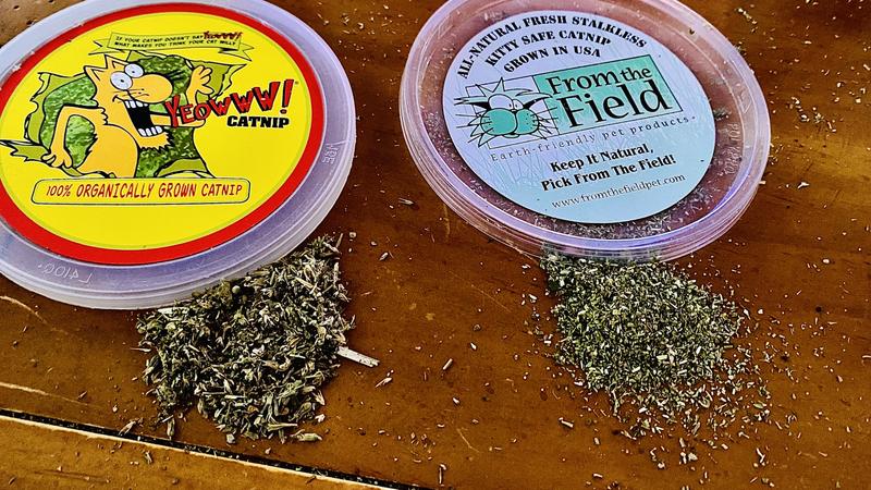 Side by Side with our previous cat nip.