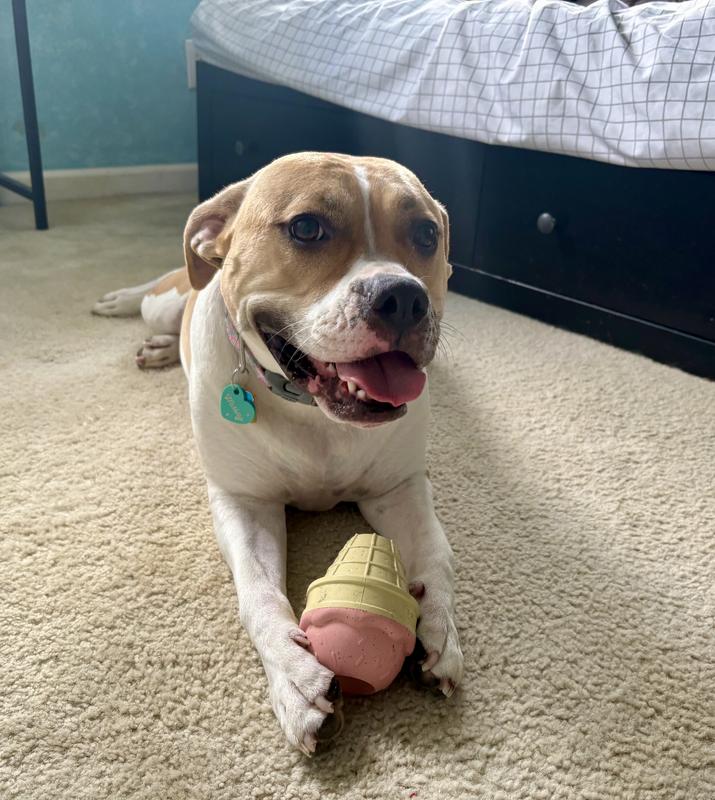 Maisy and her new toy!