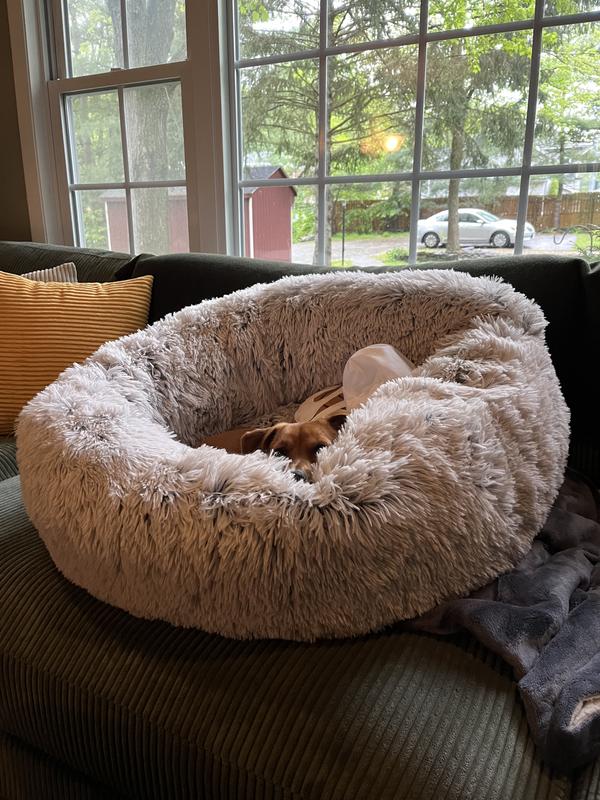 FURHAVEN Calming Cuddler Long Fur Donut Bolster Dog Bed, Taupe, Small ...