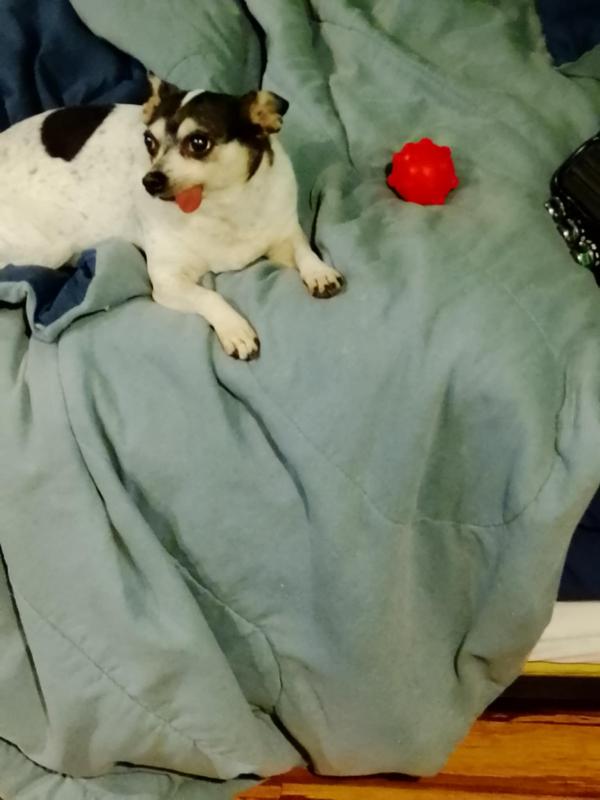 She's just really cute so I had to take another picture of her with her new toy.