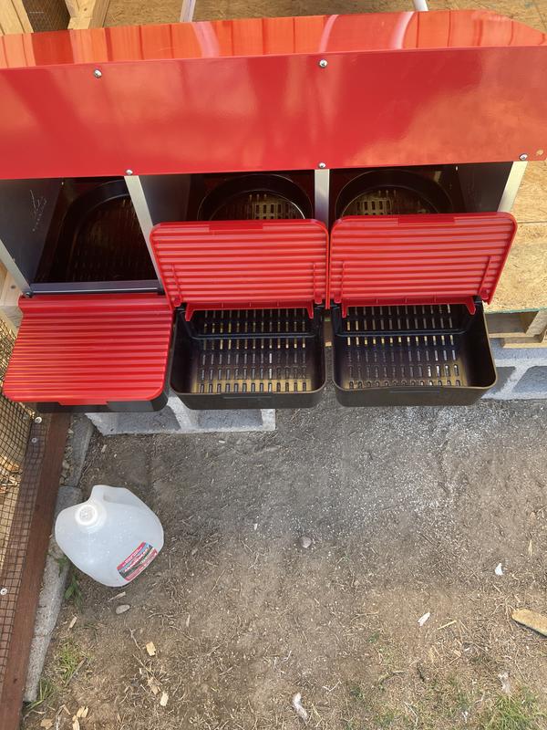 At least 6 if not 12 eggs fit in the collection compartment.