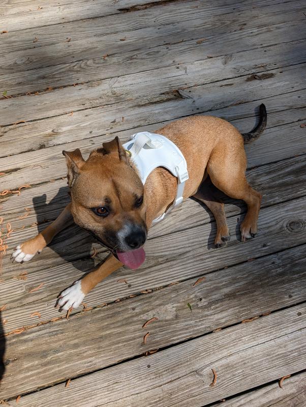 You can snap off the ruffle - easy on and off