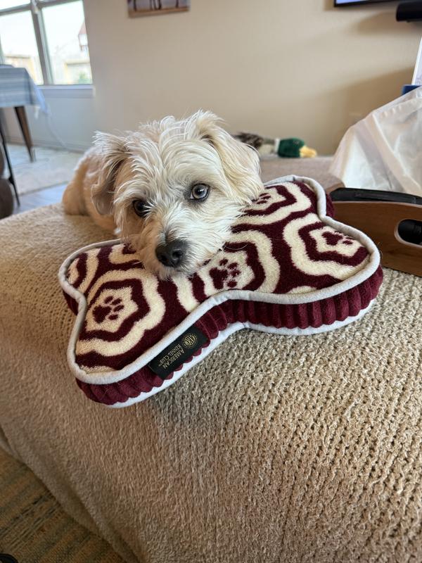 Loves his new bone pillow!❤️