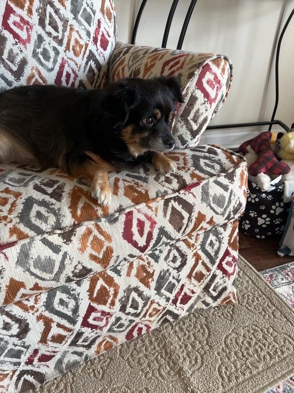 Sam relaxing in his chair