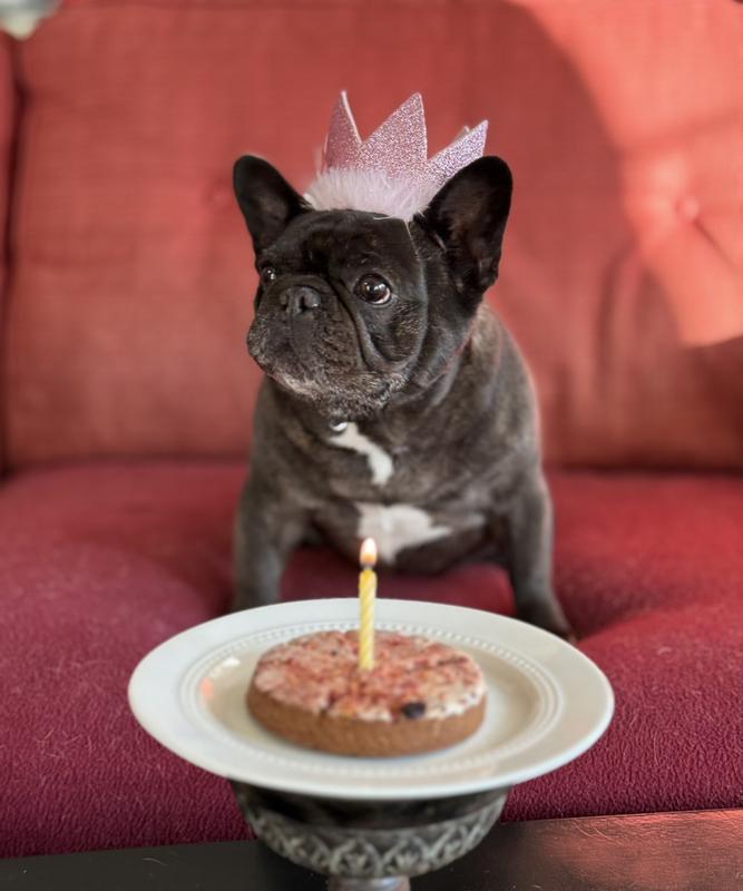 Cake!