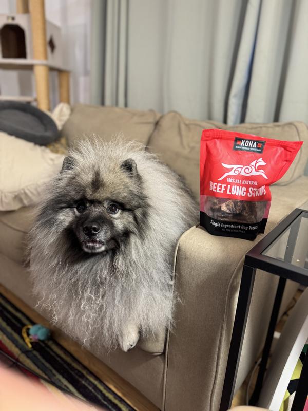 Yogi Bear Loves Koha Beef Lung Strips