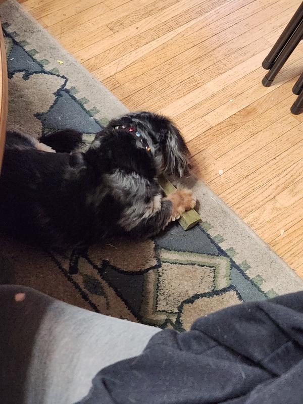 Our dog enjoys the new treat!