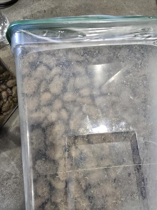 inside container slimy greasy