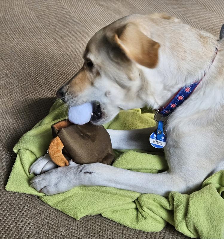 BARK Sniff Miss Squeaky Plush Crinkle Dog Chew Toy