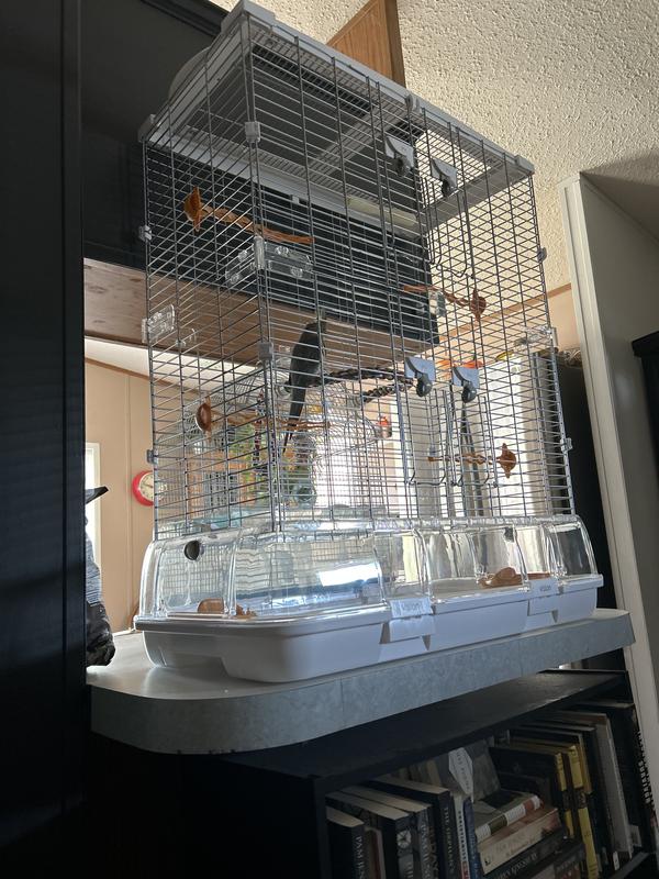 Big Beautiful indoor cage!!