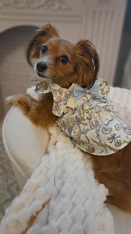 Tiny Diva™ approved. ✨️