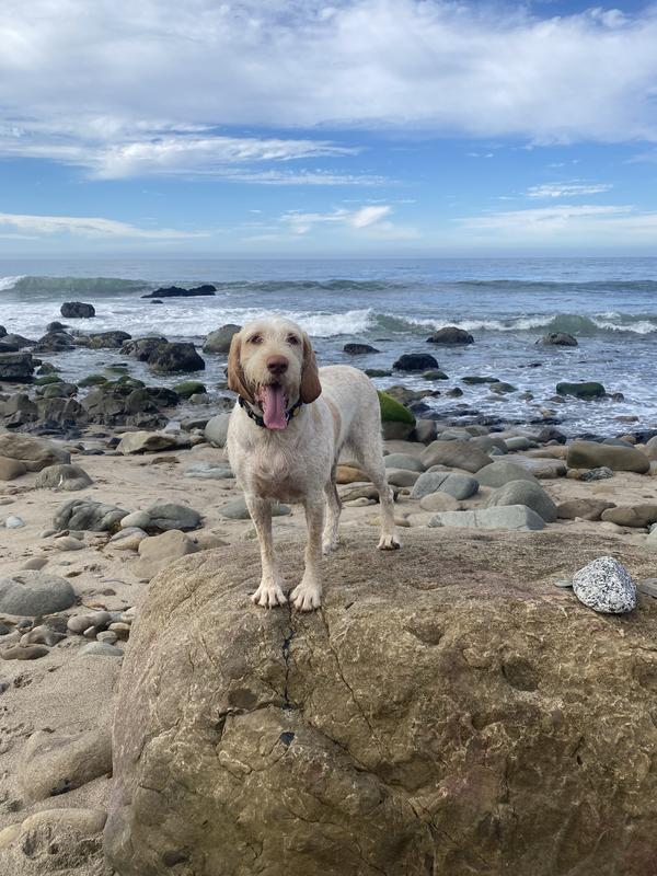 Beach day