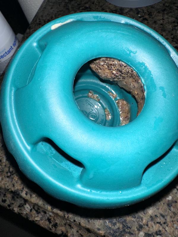 What it looks like after 20 minutes of constant licking