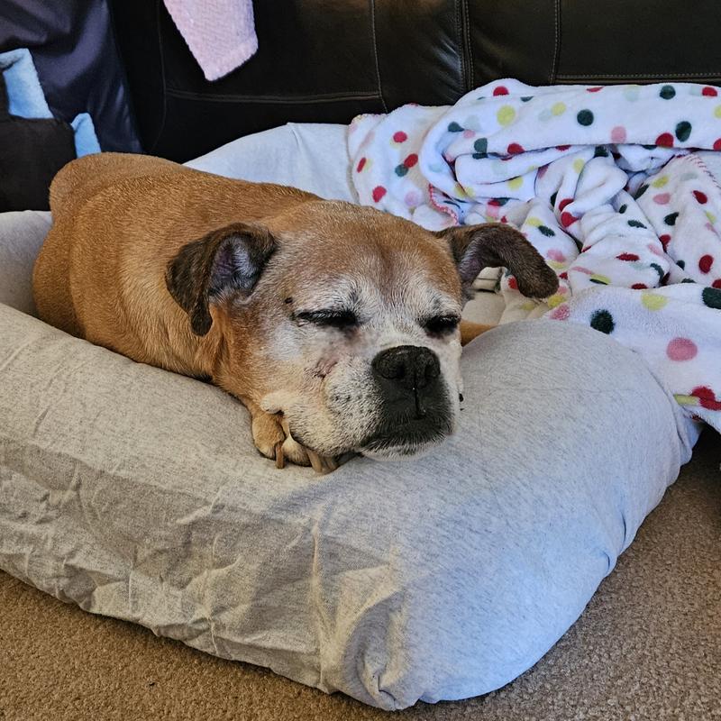 Look at that, immediately comfortable!