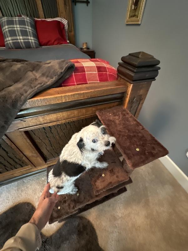 Juniper does not like these stairs.