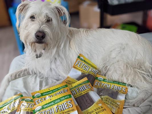 Dollarama best sale dog treats