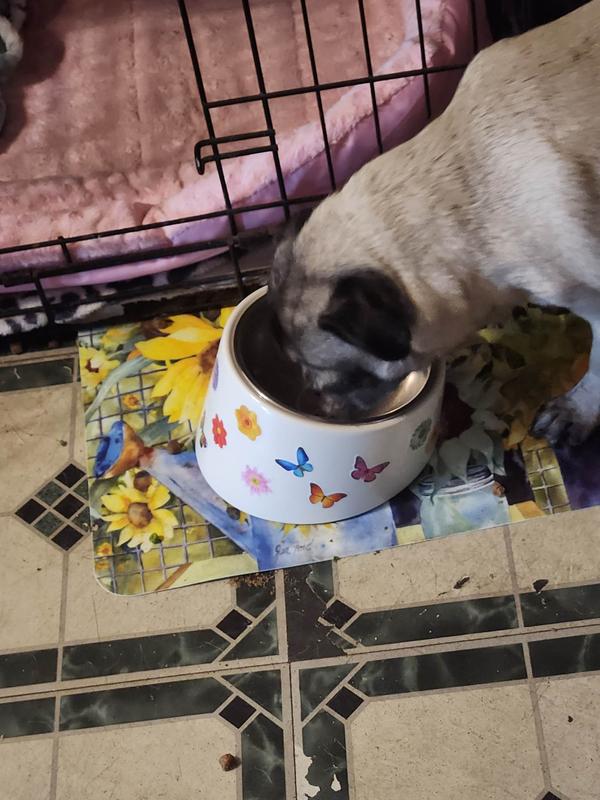 My pug loves her food and her new bowl! ( Idecorated it with flower stickers,the bowl base is  white)