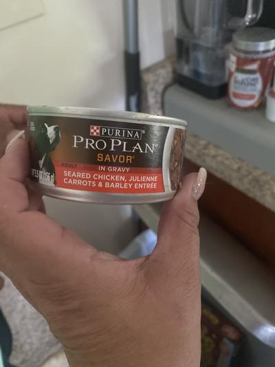 Quality dog food for adult dogs!