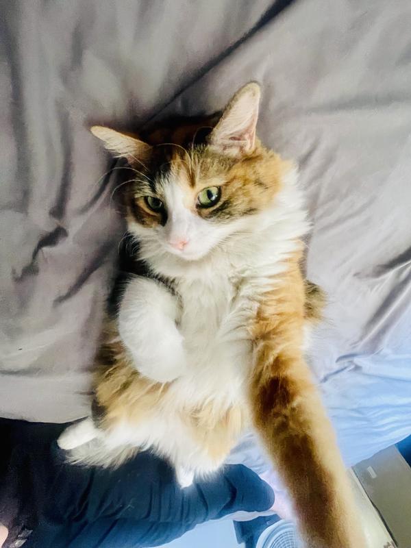 One likes it, one don’t