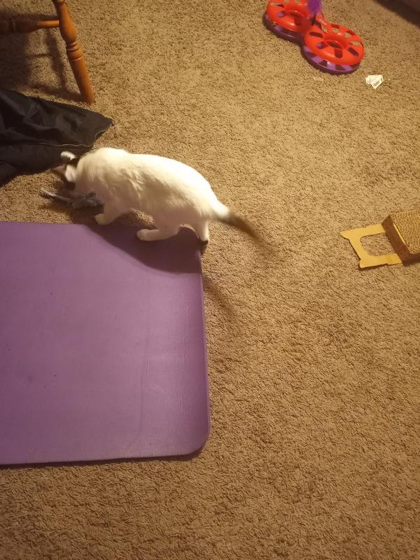 FRISCO Skinny Mouse Plush Cat Toy with Catnip, Gray