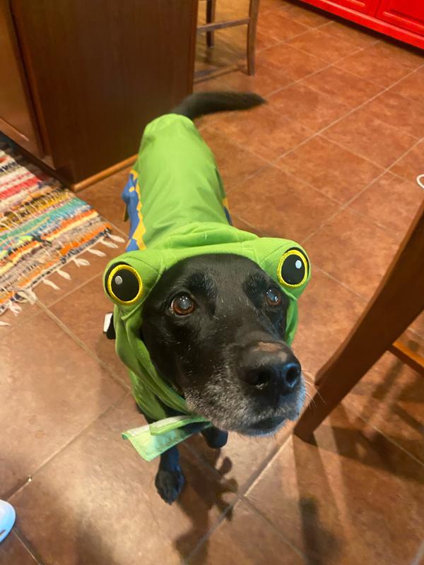 This lil head is adorable!  It is a seperate piece than the body.