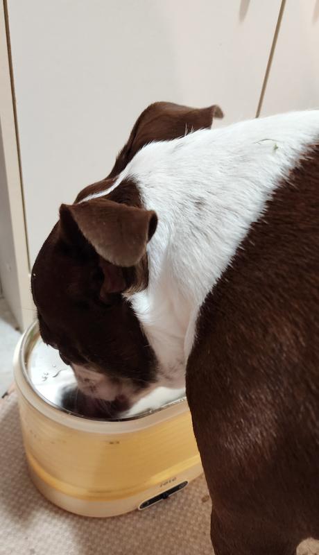 Pearl having a drink