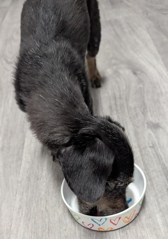 Making sure he got it all!